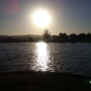 Meet your Posher, Ellen